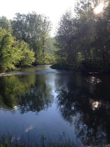 Europe, By Way of Reston