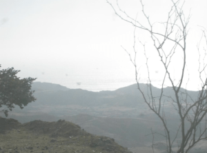 Screen Shot 2014-10-06 at 1.37.14 PM